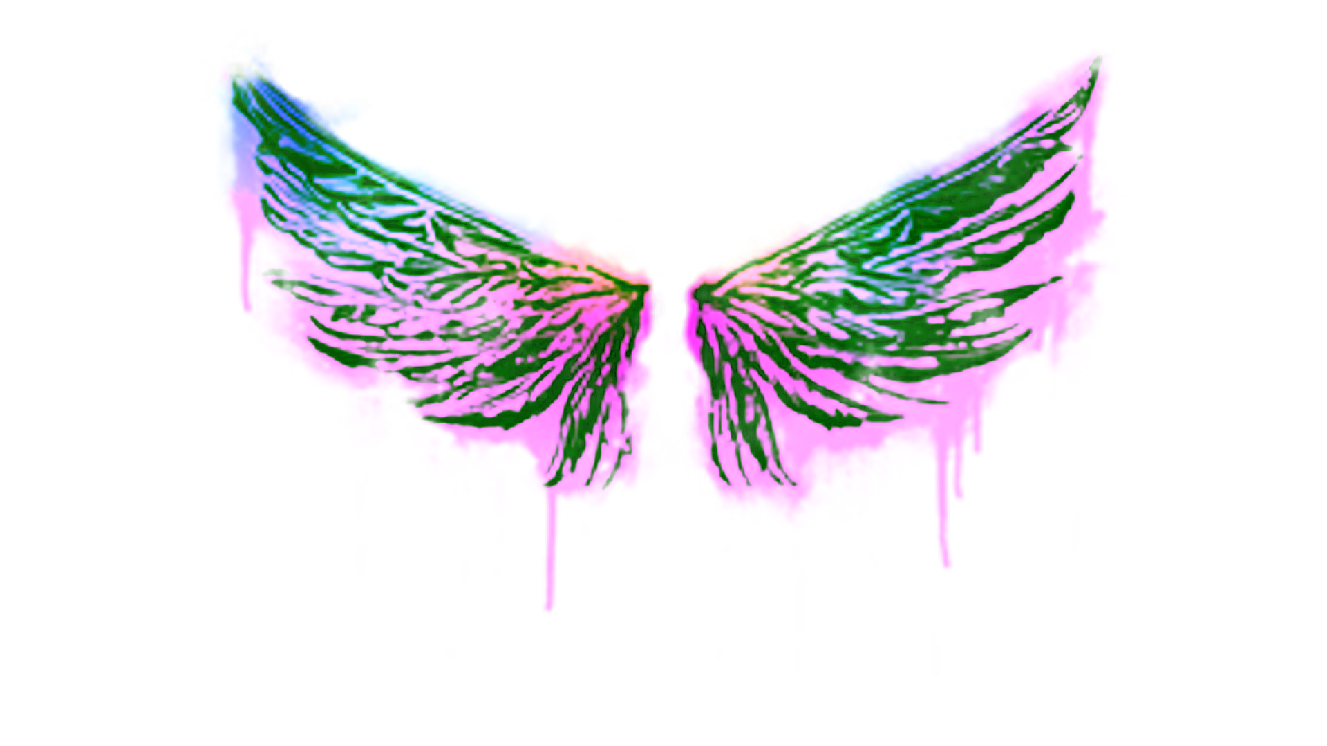 Affichage pour Sealed Graffiti | Wings