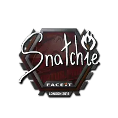 Sticker snatchie London 2018