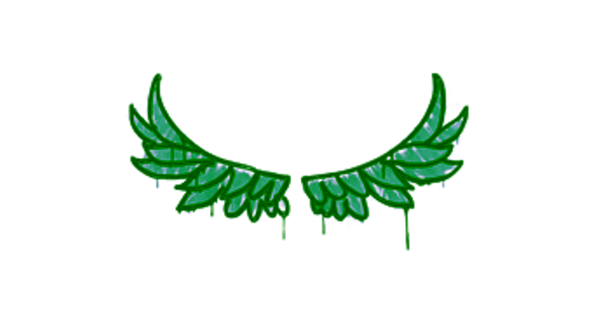 Display for Sealed Graffiti | Take Flight (Frog Green)