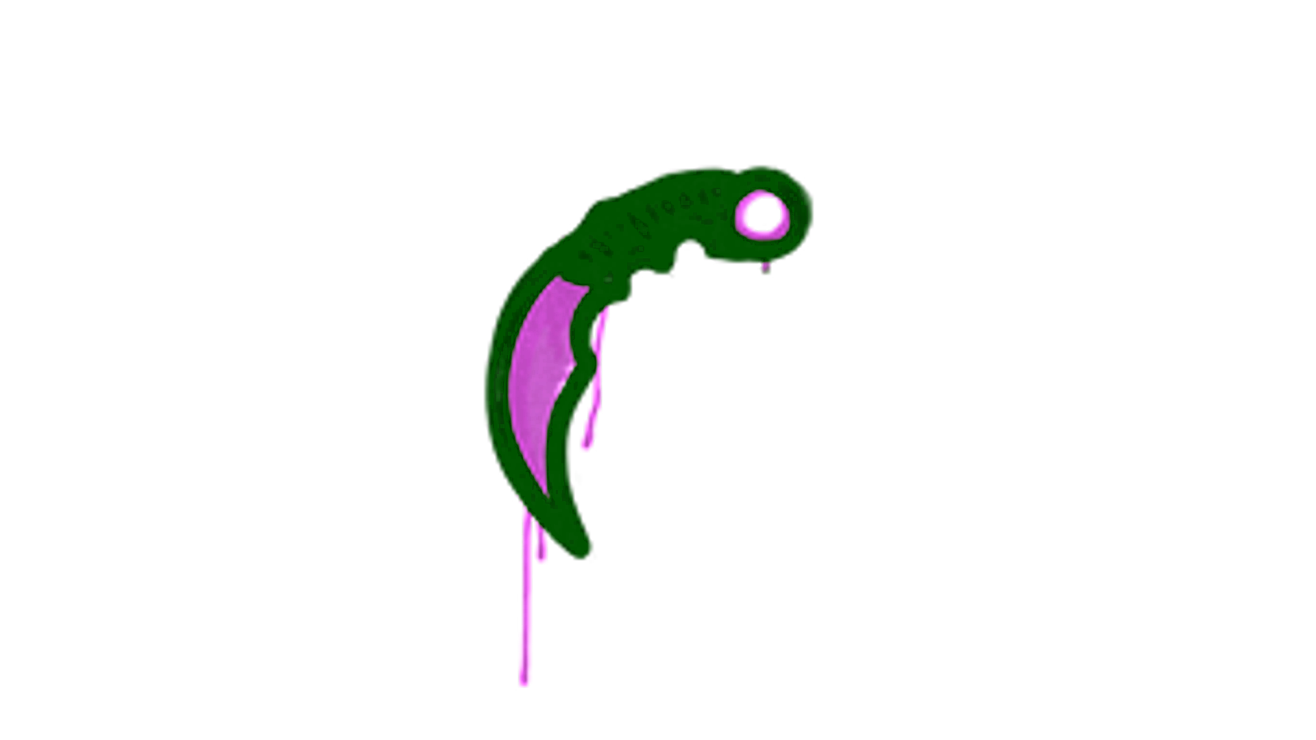 Display for Sealed Graffiti | Karambit (Bazooka Pink)