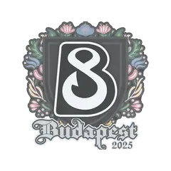 Sticker B8 Budapest 2025