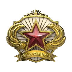 2018 Service Medal