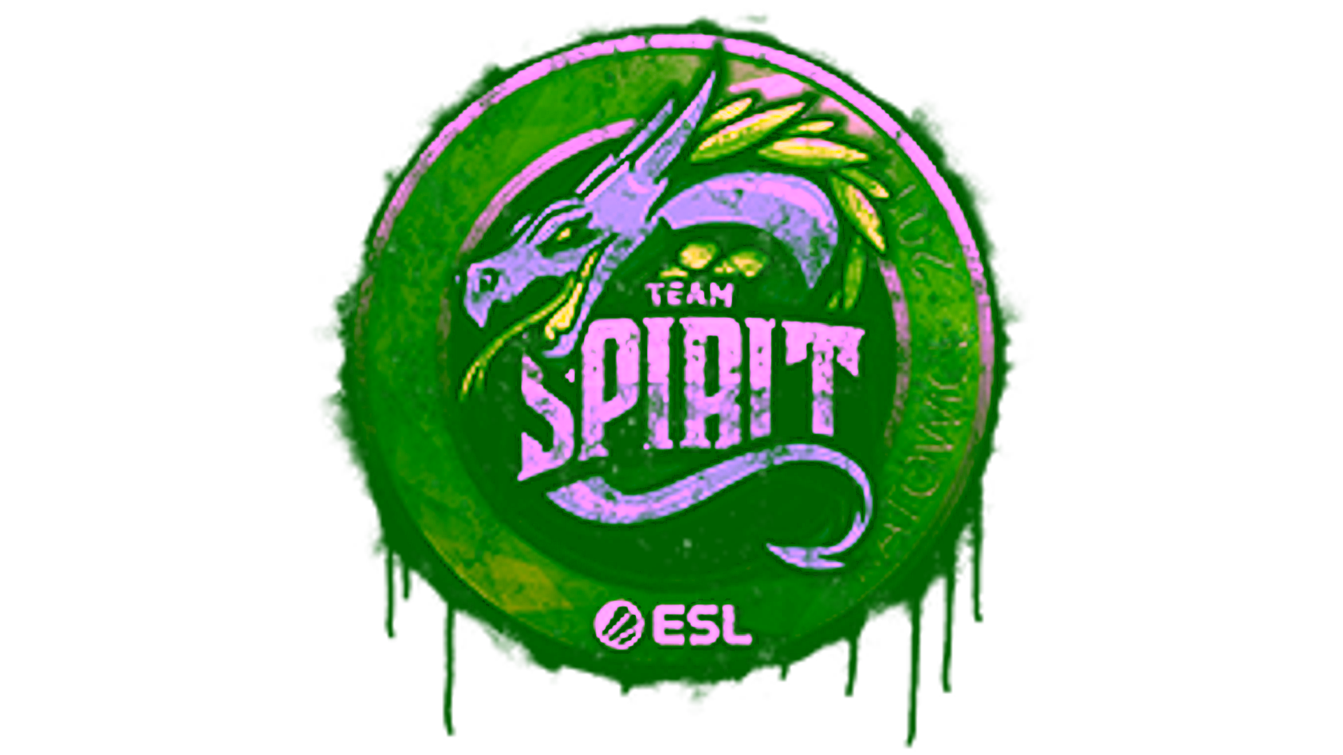 Display for Sealed Graffiti | Team Spirit | Katowice 2019