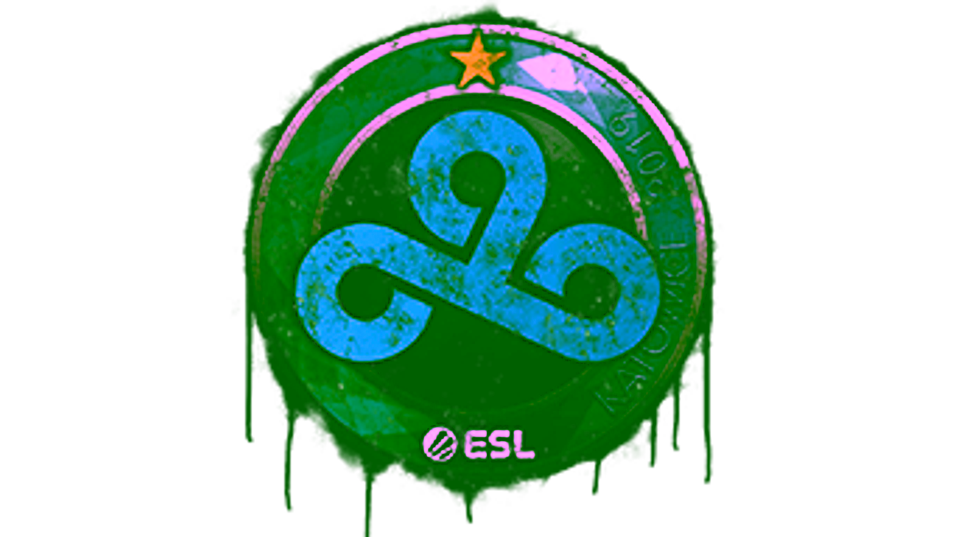 Display for Sealed Graffiti | Cloud9 | Katowice 2019