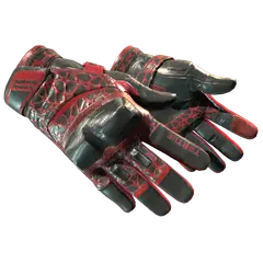 Moto Gloves Blood Pressure