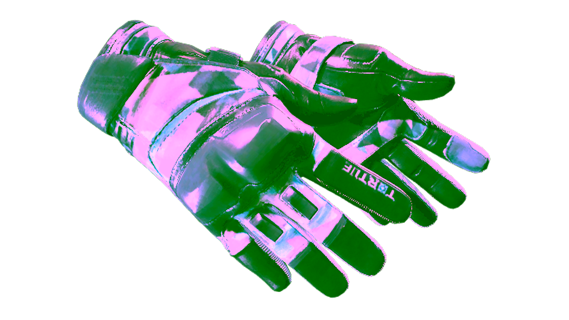 Display for ★ Moto Gloves | Cool Mint (Factory New)