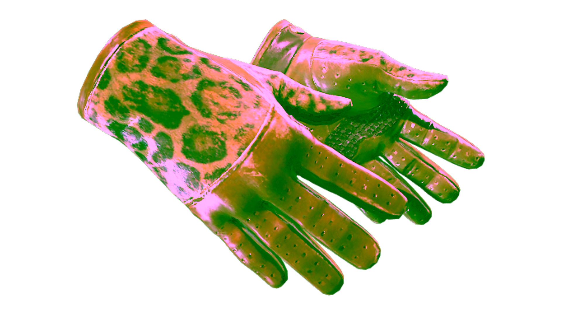 Display for ★ Driver Gloves | Queen Jaguar (Well-Worn)