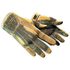Sport Gloves Arid