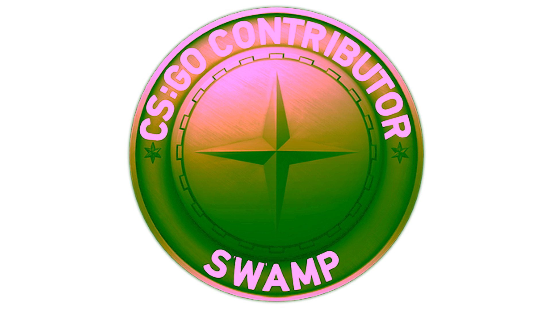 Display for Swamp Map Coin