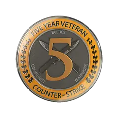 5 Year Veteran Coin