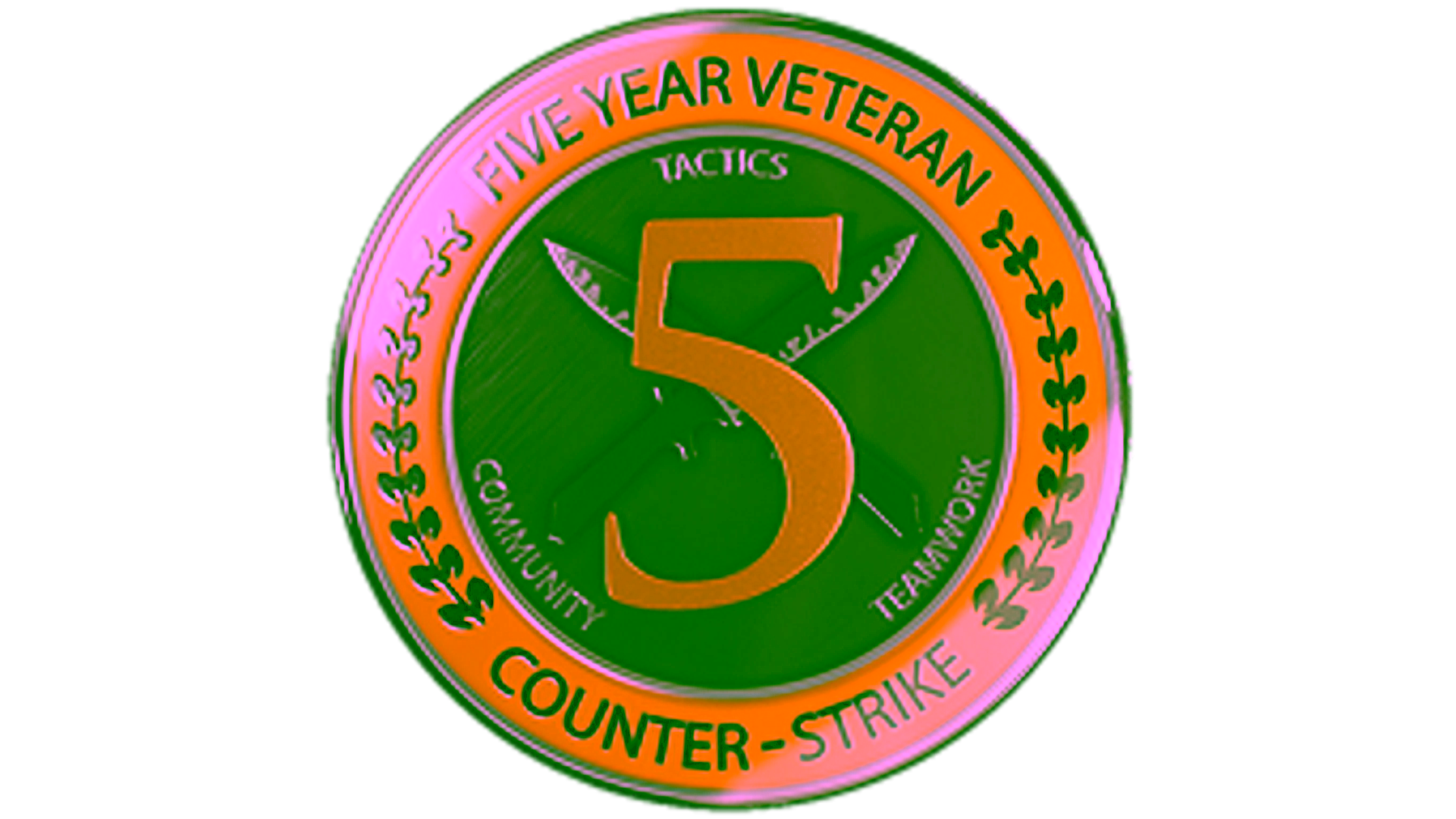 Display for 5 Year Veteran Coin