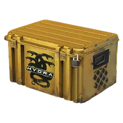 Operation Hydra Case