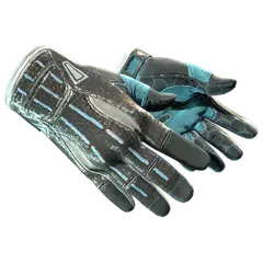 Sport Gloves Superconductor