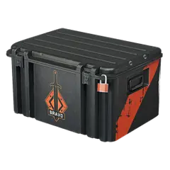 Operation Bravo Case