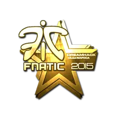 Fnatic (Gold) | Cluj-Napoca 2015