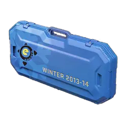 eSports 2013 Winter Case