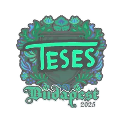 Sticker TeSeS Budapest 2025