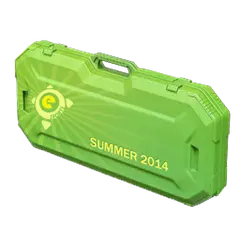 eSports 2014 Summer Case
