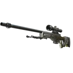 StatTrak™ AWP | Worm God (Field-Tested)