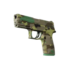 P250 Boreal Forest
